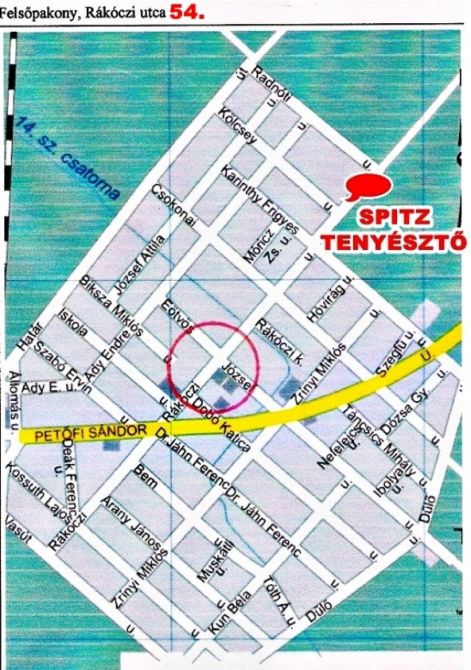 felsopakony_spitz_tenyeszto_utca_kereso_terkep_hely_megjelolessel.jpg felsopakony_spitz_tenyeszto_utca_kereso_terkep_hely_megjelolessel.jpg
